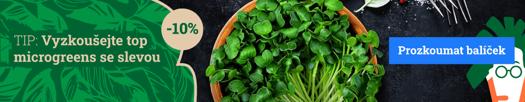 Banner_Kategorie_AllSeeds_1025x200_New2_Comp