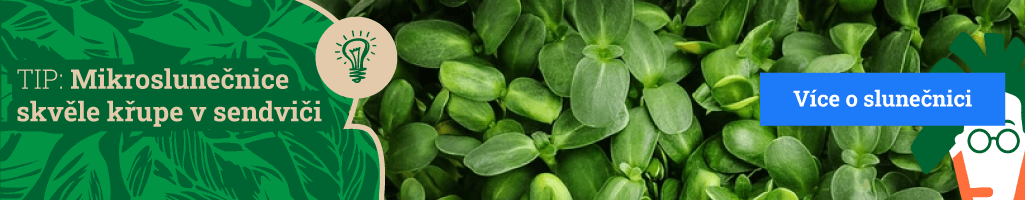 Banner_Kategorie_TipSunflower_1025x200_New_Comp